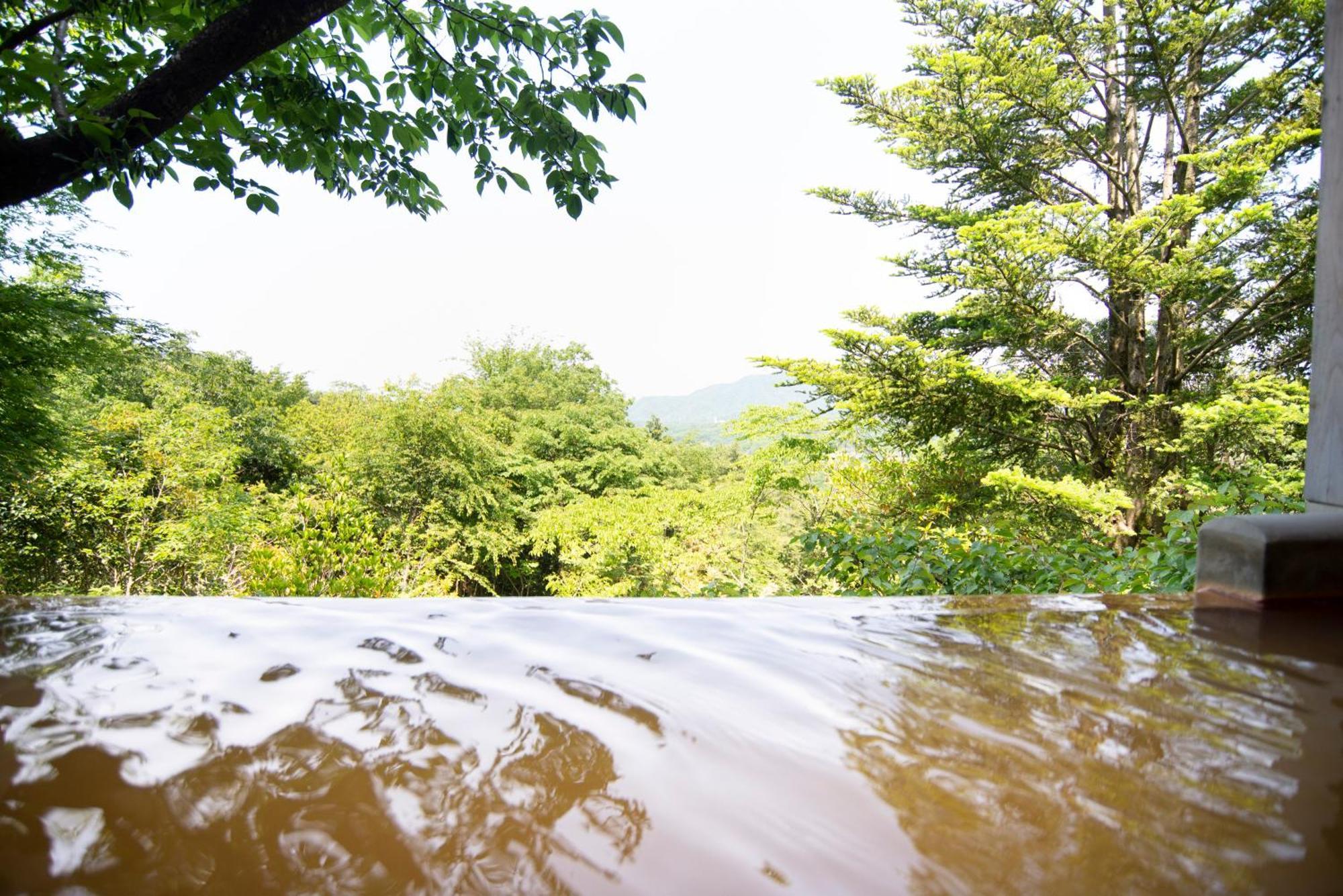 Hotel Arima Onsen Motoyu Ryuusenkaku Kobe Pokój zdjęcie