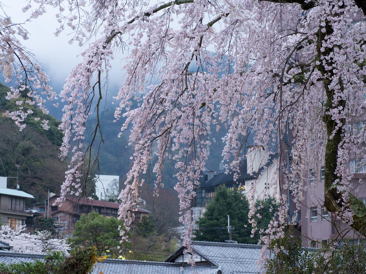 Hotel Arima Onsen Motoyu Ryuusenkaku Kobe Zewnętrze zdjęcie