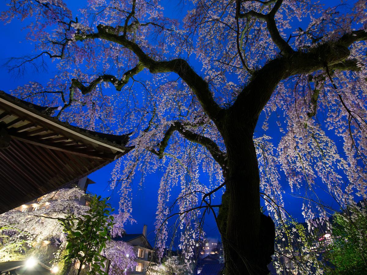 Hotel Arima Onsen Motoyu Ryuusenkaku Kobe Zewnętrze zdjęcie